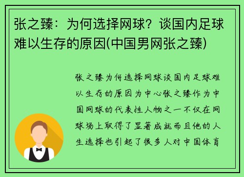 张之臻：为何选择网球？谈国内足球难以生存的原因(中国男网张之臻)